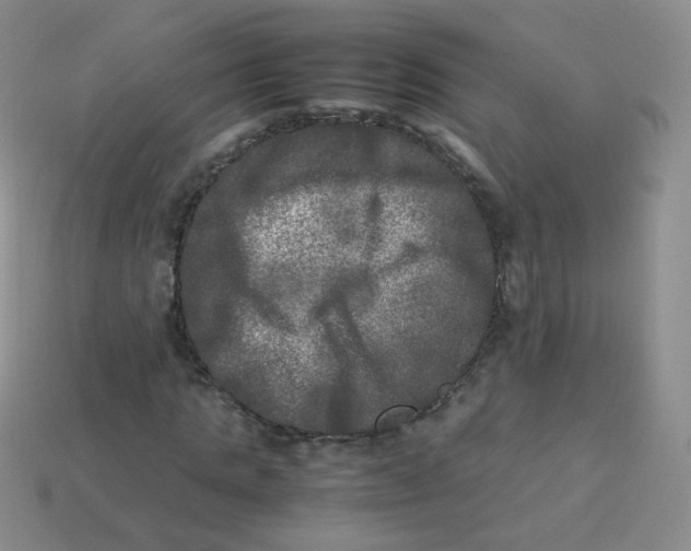X0000113290821200910131024