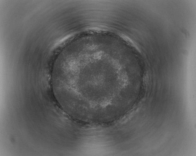 X0000113290822200910131024