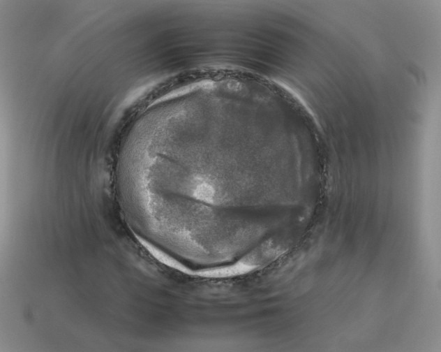 X0000113290823200910131024
