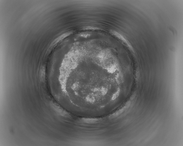 X0000113290825200910131024