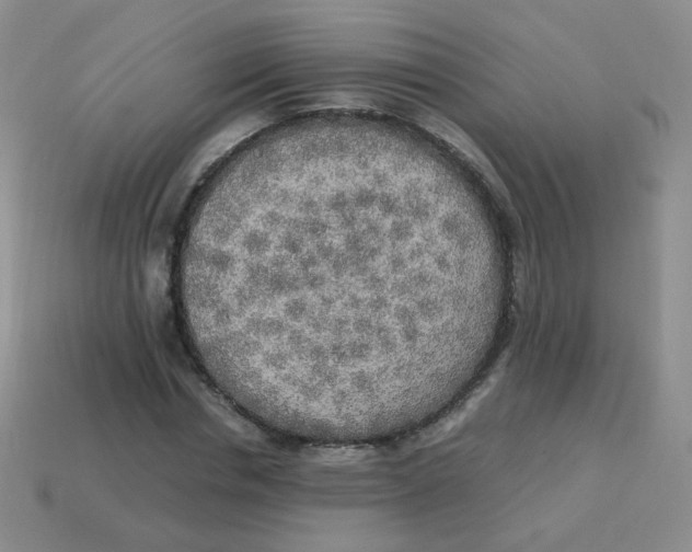 X0000113290826200910131024