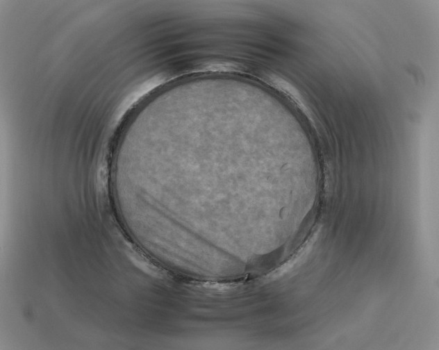 X0000113290827200910131024