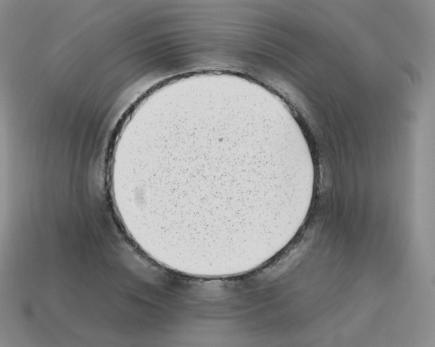 X0000113290828200910131024