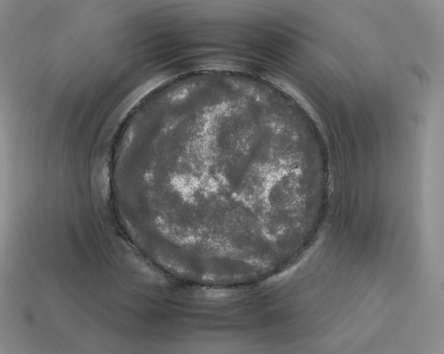 X0000113290829200910131024