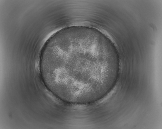 X0000113290830200910131024