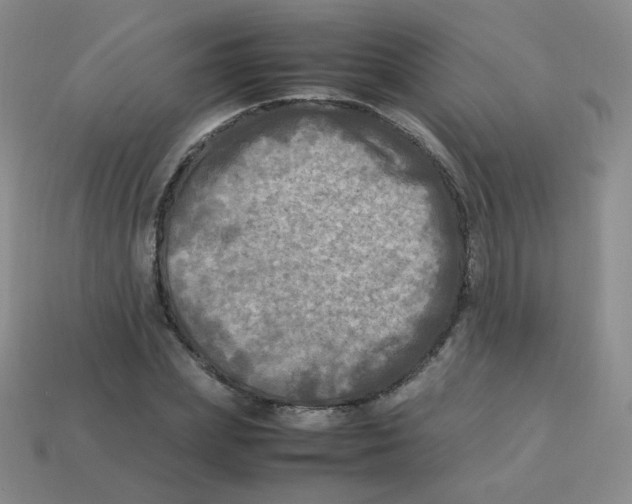 X0000113290831200910131024