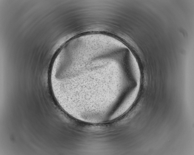 X0000113290834200910131024