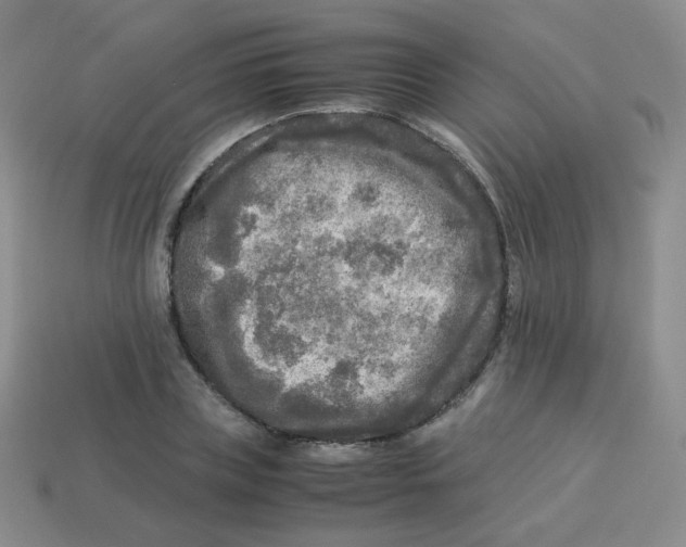 X0000113290835200910131024