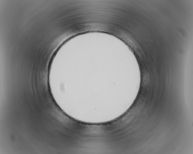 X0000113290836200910131024