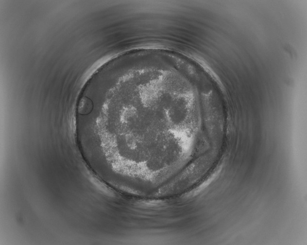 X0000113290837200910131024