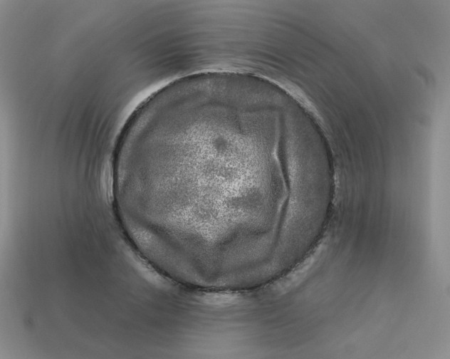 X0000113290838200910131024