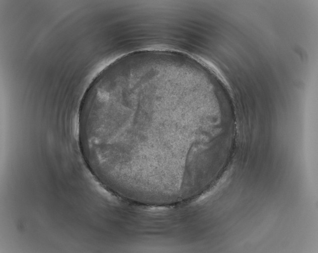 X0000113290839200910131024