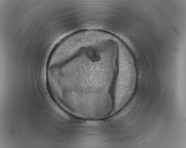 X0000113290840200910131024