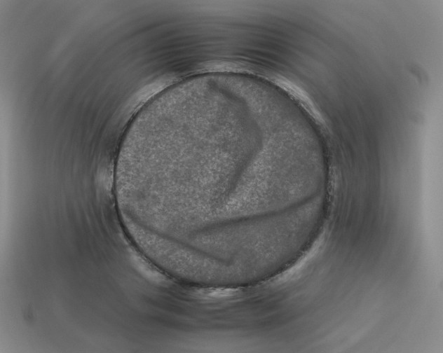 X0000113290841200910131024