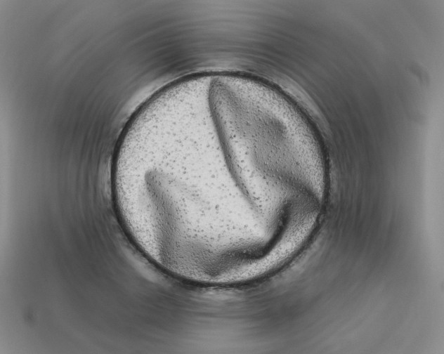 X0000113290842200910131024