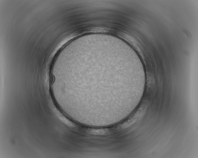X0000113290843200910131024