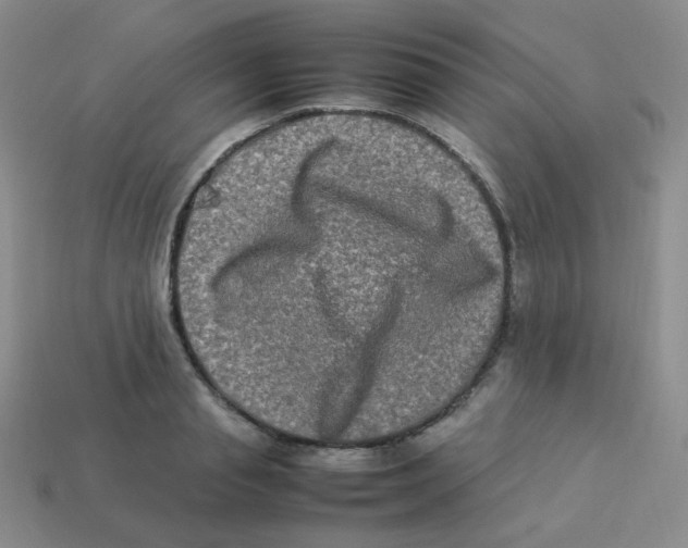 X0000113290845200910131024
