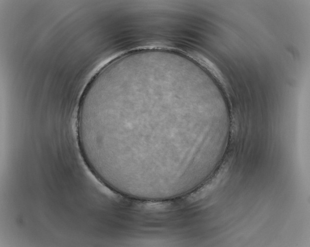 X0000113290847200910131024