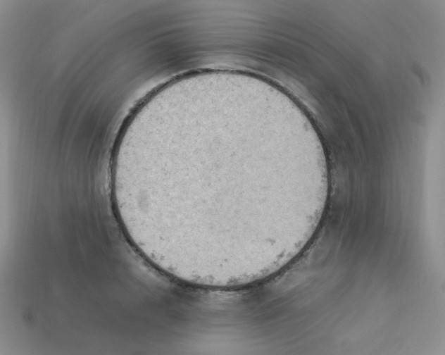 X0000113290848200910131024