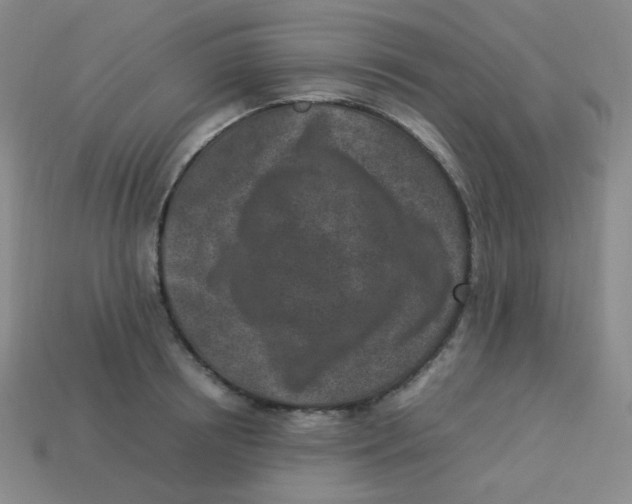 X0000113290850200910131024