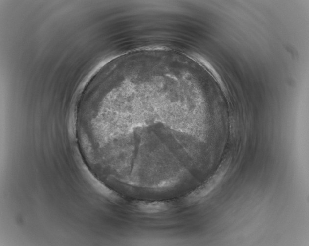 X0000113290851200910131025