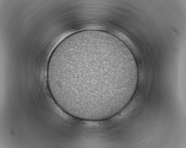 X0000113290852200910131025