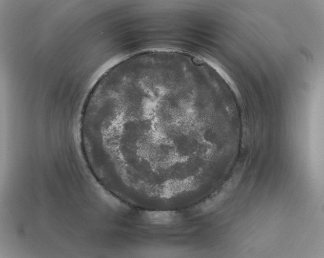 X0000113290853200910131025
