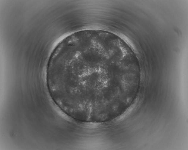 X0000113290854200910131025