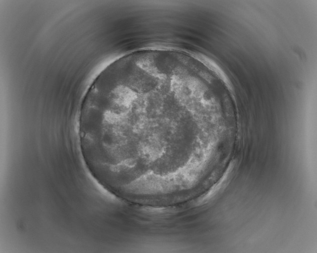 X0000113290855200910131025