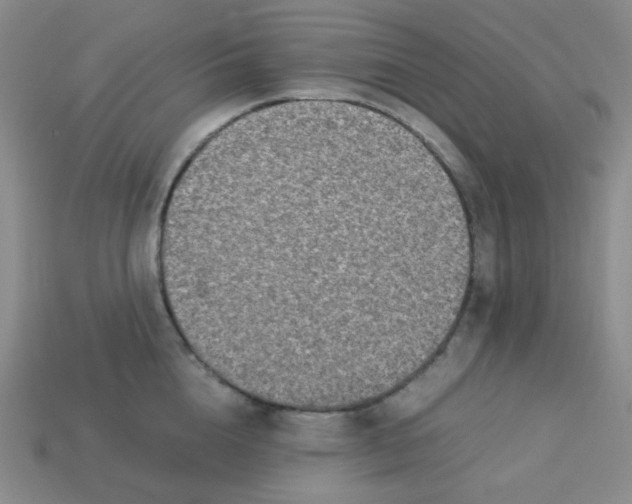 X0000113290856200910131025