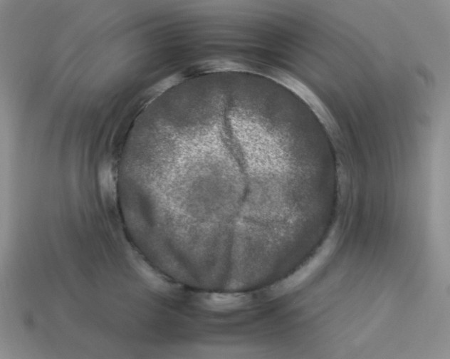 X0000113290857200910131025