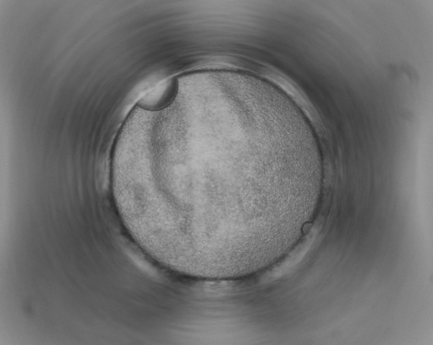 X0000113290858200910131025