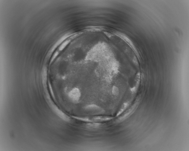 X0000113290859200910131025
