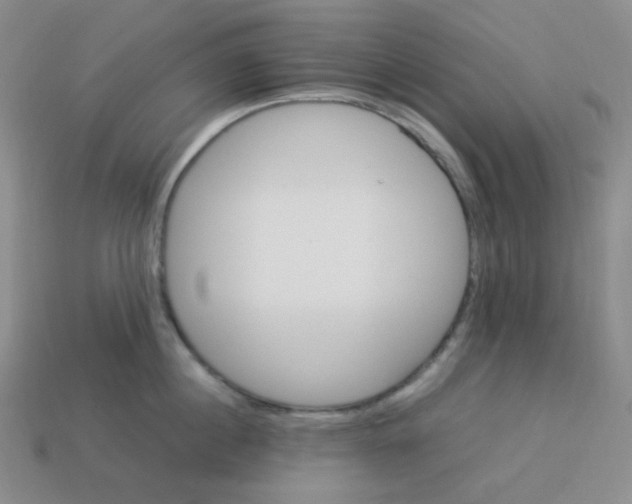 X0000113290860200910131025
