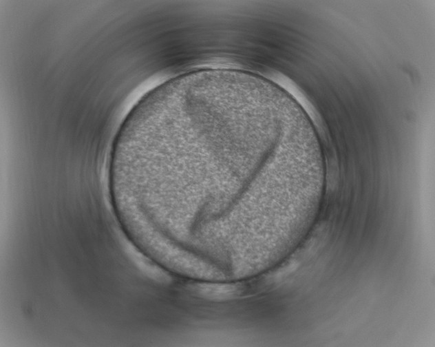 X0000113290861200910131025