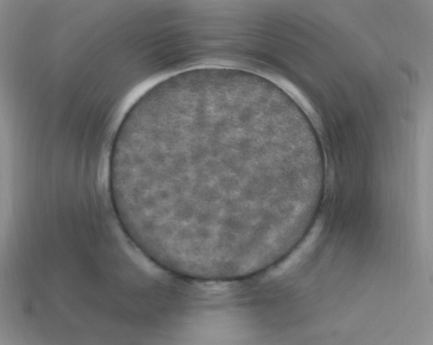 X0000113290862200910131025