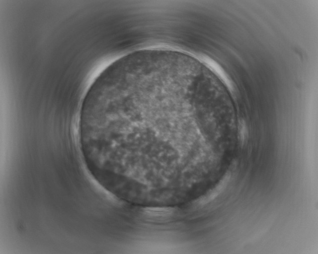 X0000113290863200910131025