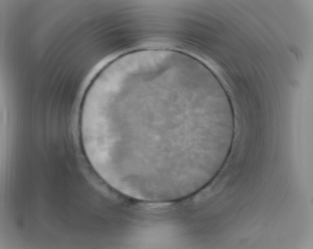 X0000113290864200910131025