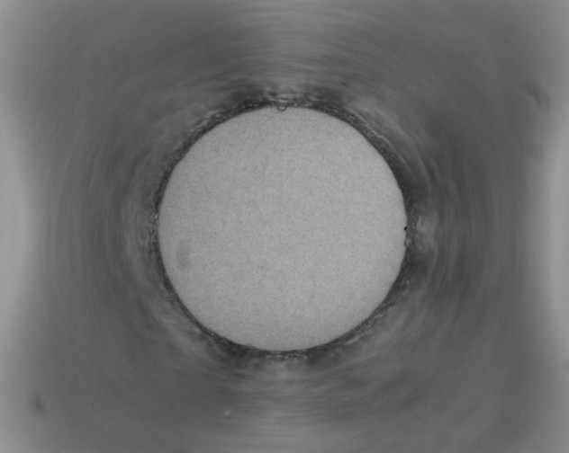 X0000113290865200910131024