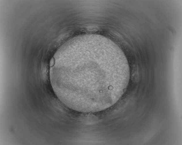 X0000113290866200910131024