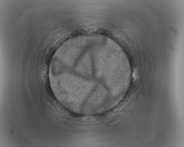 X0000113290867200910131024