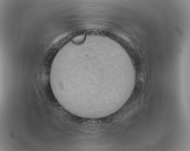 X0000113290869200910131024