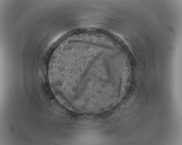 X0000113290871200910131024