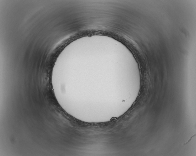 X0000113290872200910131024