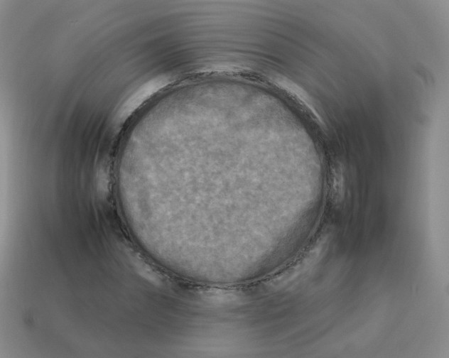 X0000113290874200910131024