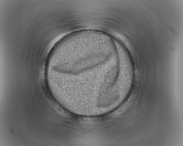 X0000113290875200910131024
