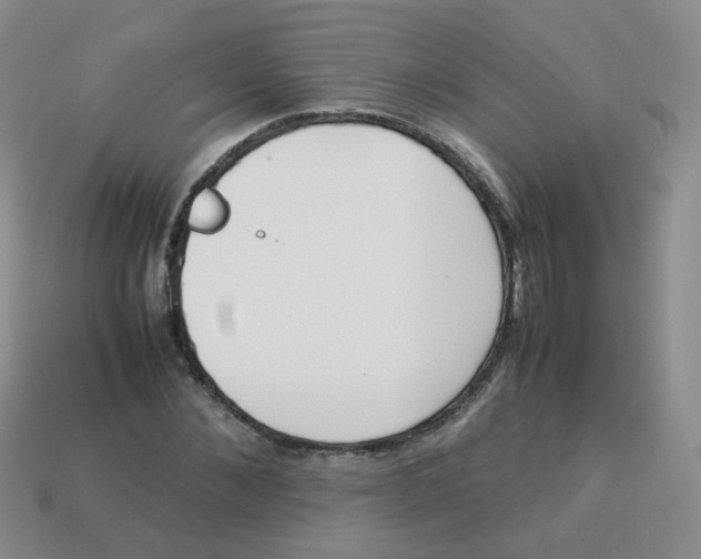 X0000113290876200910131024