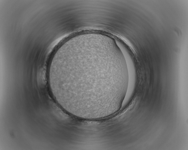 X0000113290878200910131024