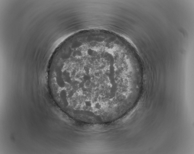 X0000113290879200910131024
