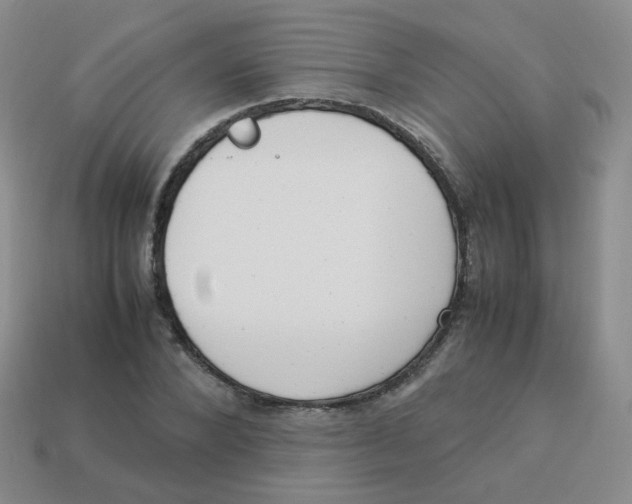 X0000113290880200910131024